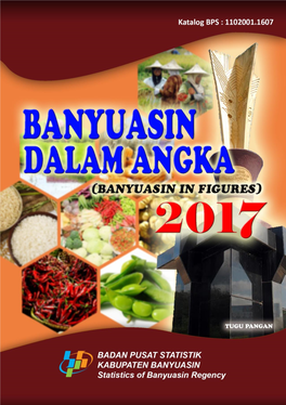 Banyuasin Dalam Angka 2017 | I