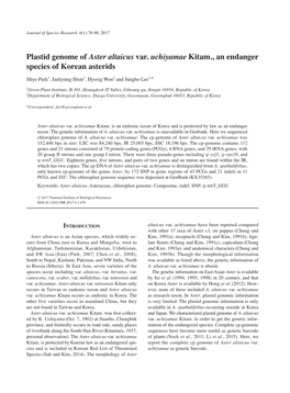 Plastid Genome of Aster Altaicus Var. Uchiyamae Kitam., an Endanger Species of Korean Asterids