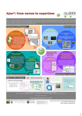 Poster Ung Xper2.Pdf