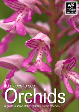 Orchidsa Guide to Some of the UK’S Best Orchid Reserves Cover: Military Orchid (C) Helen Walsh (C) Helen Orchid Military Cover