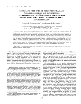 Systematic Affinities of Rhizophoraceae And