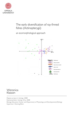 The Early Diversification of Ray-Finned Fishes (Actinopterygii) a N an Ecomorphological Approach