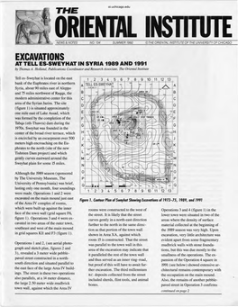 EXCAVATIONS at TELL ES-SWEYHAT in SYRIA 1989 and 1991 by Thomas A