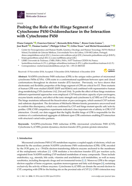 Probing the Role of the Hinge Segment of Cytochrome P450 Oxidoreductase in the Interaction with Cytochrome P450