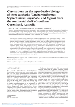 Observations on the Reproductive Biology of Three Catsharks