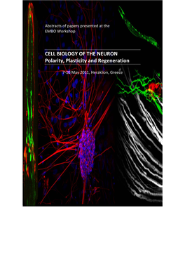 CELL BIOLOGY of the NEURON Polarity, Plasticity and Regeneration