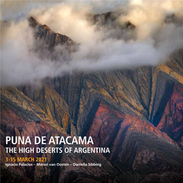PUNA DE ATACAMA the HIGH DESERTS of ARGENTINA 3-15 MARCH 2021 Ignacio Palacios – Marsel Van Oosten – Daniella Sibbing ATACAMA-ALTIPLANO- PUNA REGION