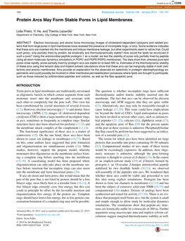 Protein Arcs May Form Stable Pores in Lipid Membranes