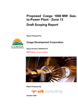 Proposed Coega 1000 MW Gas- To-Power Plant - Zone 13 Draft Scoping Report