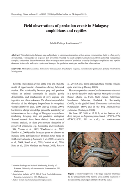 Field Observations of Predation Events in Malagasy Amphibians and Reptiles