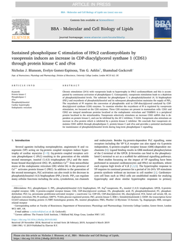 Sustained Phospholipase C Stimulation of H9c2