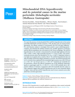 Mitochondrial DNA Hyperdiversity and Its Potential Causes in the Marine Periwinkle Melarhaphe Neritoides (Mollusca: Gastropoda)