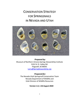 Conservation Strategy for Springsnails in Nevada and Utah