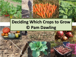Deciding Which Crops to Grow © Pam Dawling Hi, I’M Pam Dawling