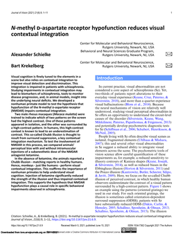 N-Methyl D-Aspartate Receptor Hypofunction Reduces Visual Contextual Integration