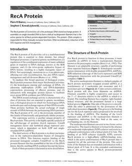 Reca Protein Secondary Article