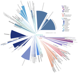 Eubacteria Archaea Ca