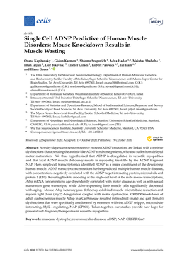 Single Cell ADNP Predictive of Human Muscle Disorders: Mouse Knockdown Results in Muscle Wasting