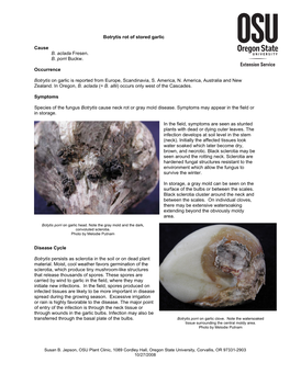 Botrytis of Stored Garlic