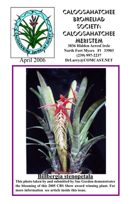 Billbergia Stenopetala This Photo Taken by and Submitted by Sue Gordon Demonstrates the Blooming of This 2005 CBS Show Award Winning Plant