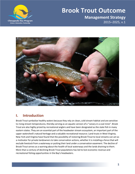 Brook Trout 2015 Management Strategy