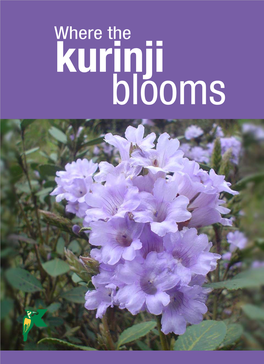 Where the Kurinji Blooms Where the Kurinji Blooms
