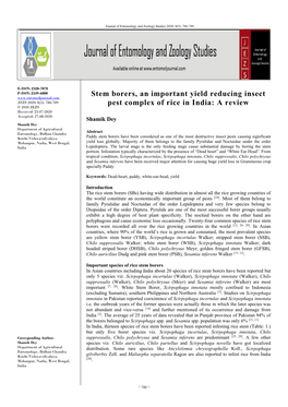 Stem Borers, an Important Yield Reducing Insect Pest Complex of Rice