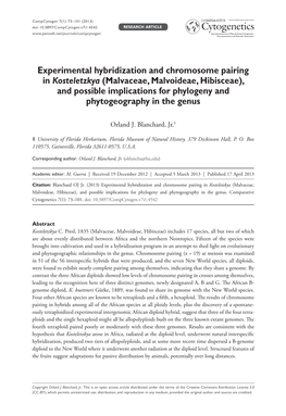 Experimental Hybridization and Chromosome Pairing in Kosteletzkya