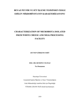 Beyaz Peynġr Ve Süt Ġġleme Tesġsġnden Ġzole Edġlen Mġkrobġyotanin Karakterġzasyonu