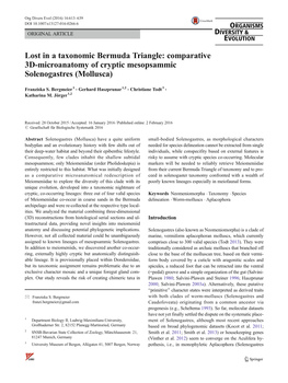 Comparative 3D-Microanatomy of Cryptic Mesopsammic Solenogastres (Mollusca)