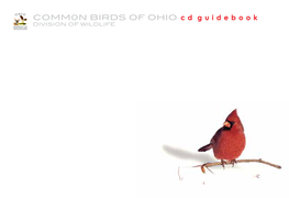 COMMON BIRDS of Ohio Family Name Quick Info: Range, Habitat, and Best Spots B O R R O R / O D O W B I R D S O N G S