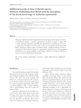 Additional Records of Three Scyllarides Species (Palinura: Scyllaridae) from Brazil, with the Description of the Fourth Larval Stage of Scyllarides Aequinoctialis