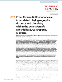 From Persian Gulf to Indonesia: Interrelated Phylogeographic