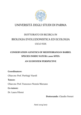 PHD TESI CLAUDIO FERRARI Finale.Pdf