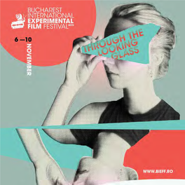 Bucharest International Experimental Film Festival