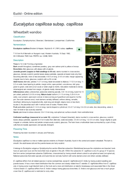 Eucalyptus Capillosa Subsp. Capillosa Wheatbelt Wandoo Classification Eucalyptus | Symphyomyrtus | Bisectae | Glandulosae | Levispermae | Cubiformes Nomenclature