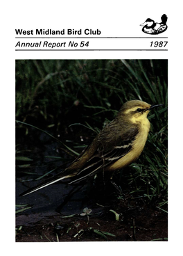 West Midland Bird Club Annual Report No 54 1987 Yellow Wagtail (Male) by at Moffett West Midland Bird Club