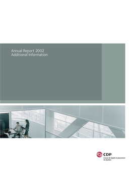 Annual Report 2002 Additional Information