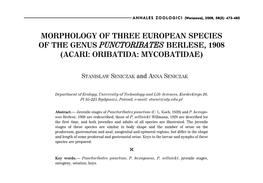 Acari: Oribatida: Mycobatidae)