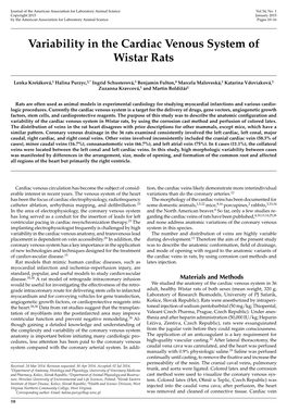 Variability in the Cardiac Venous System of Wistar Rats