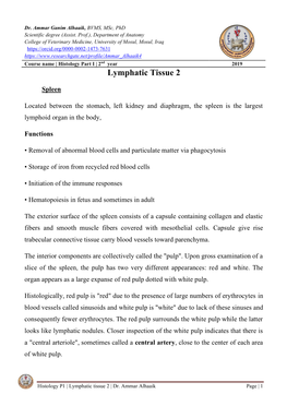 Lymphatic Tissue 2