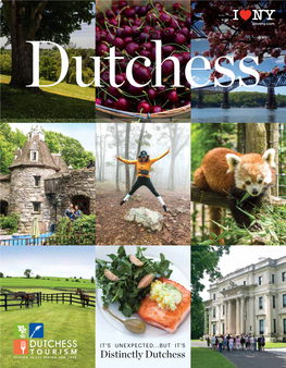 Distinctly Dutchess