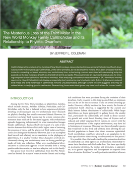 The Mysterious Loss of the Third Molar in the New World Monkey Family Callitrichidae and Its Relationship to Phyletic Dwarfism