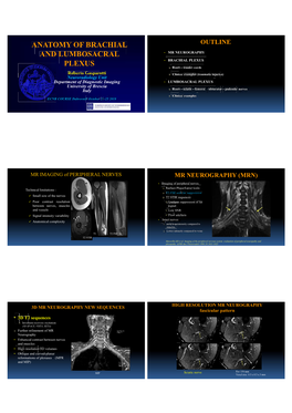 Anatomy of Brachial and Lumbosacral Plexus