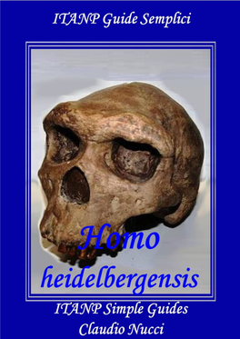 Homo Heidelbergensis