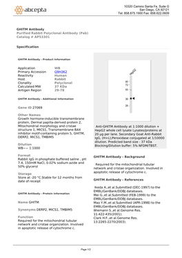 GHITM Antibody Purified Rabbit Polyclonal Antibody (Pab) Catalog # AP53301