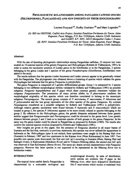 PHYLOGENETIC RELATIONSHIPS AMONG PANGASIID CATFISH SPECIES (SILURIFORMES, PANGASIIDAE) and NEW INSIGHTS on Meir ZOOGEOGRAPHY