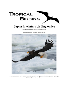 Japan in Winter: Birding on Ice Set Departure Tour: 10 – 24 February 2013