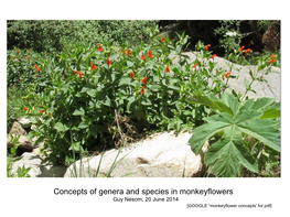 Concepts of Genera and Species in Monkeyflowers Guy Nesom, 20 June 2014 [GOOGLE “Monkeyflower Concepts' for Pdf] "Using Names in the Genus Mimulus" March 2014