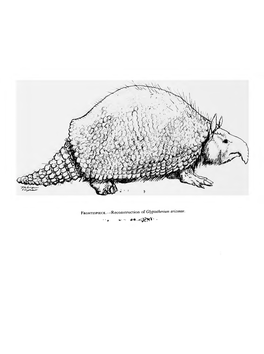 Glyptodonts of North America